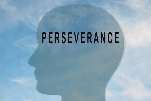 Render Ilustración Del Título Perseverance Silueta Cabeza Con Cielo Nublado —  Fotos de Stock