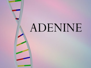 3D illustration of ADENINE script with DNA double helix , isolated on colored background. clipart