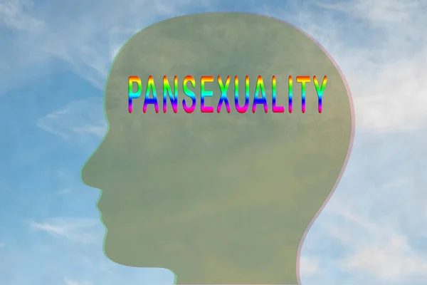 Illustration Titre Pansexuality Sur Silhouette Tête Avec Ciel Nuageux Comme — Photo