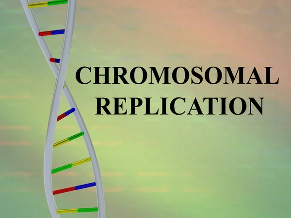 Dna 二重らせん 色付きの背景上に孤立と染色体の複製スクリプトの イラストレーション — ストック写真