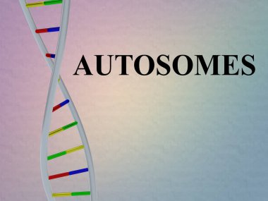 Autosomes komut dosyası ile Dna çift sarmalı, renkli desen izole 3D çizimi.