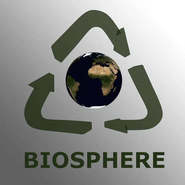 Сценарий Biosphere Символом Вторичной Переработки Окружающим Модель Мира Показав Землю — стоковое фото