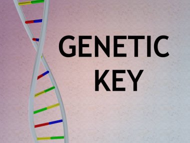 Genetik anahtar komut dosyası ile Dna çift sarmalı, renkli desen izole 3D çizimi.