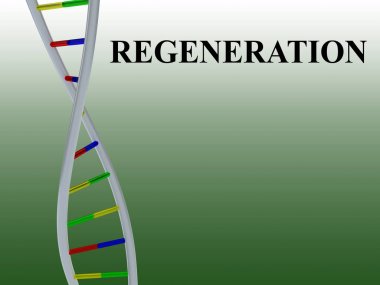 Rejenerasyon - genetik kavram