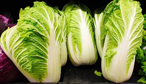 Three fresh heads of Chinese cabbage or Bok Choy — Stock Photo, Image