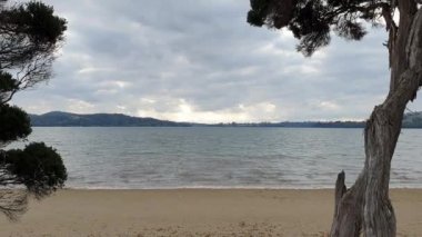 Tazmanya 'da boş tropik plaj çekimi