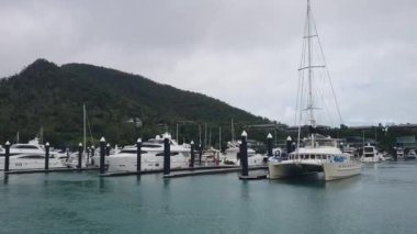Hamilton Adası 'ndaki yat rıhtımında vurulmuş.