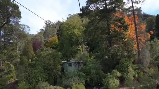 Passeio a cabo dentro de um tiro na floresta — Vídeo de Stock