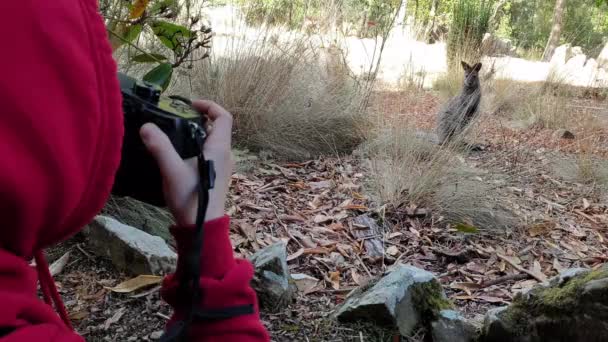 Jóvenes tomando fotos de un disparo de canguro. — Vídeos de Stock