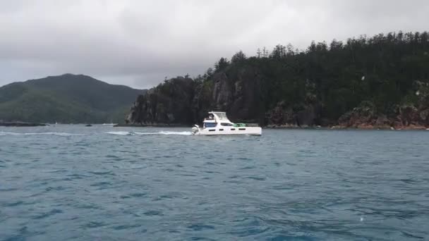 Pequeño yate en el agua de la isla Hamilton disparado disparo. — Vídeo de stock