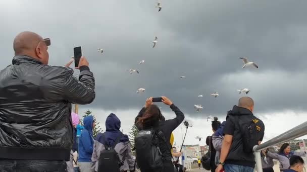 Mensen nemen foto 's op Bondi Beach Promenade schot — Stockvideo