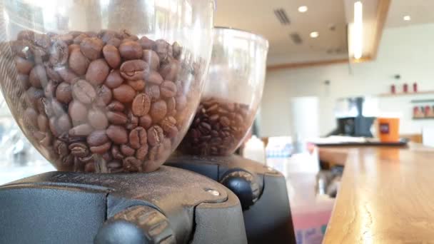 Fresh coffee beans in espresso machine shot shot — Stock Video