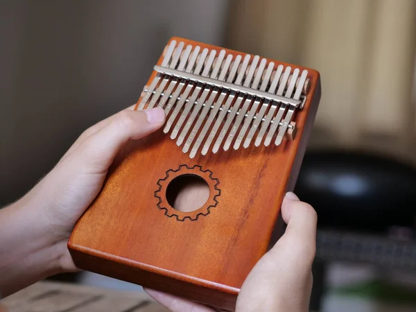 Primer Plano Las Manos Sosteniendo Kalimba — Foto de Stock