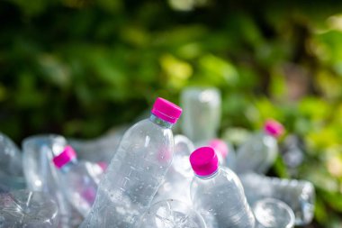 Geri dönüşüm için sepette plastik şişe var.