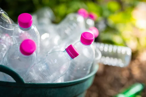 Geri dönüşüm için sepette plastik şişe var.