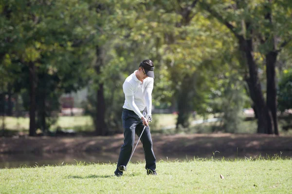 Asyalı golfçüler yeşil çimenleri süpürerek hit oldular