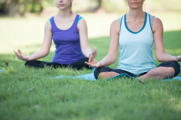 Anne ve kızı parkta yoga egzersizi yapıyor. Sağlık ve Spor Konsepti