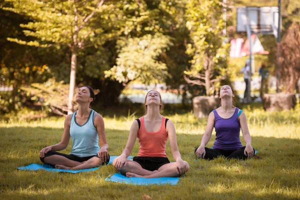 Family practicing yoga in the park outdoor. Concept of healthy lifestyle and relaxation.