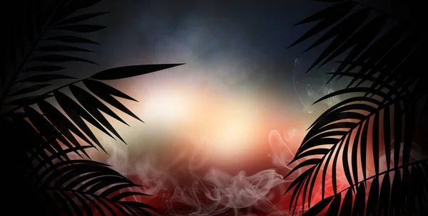 Фон Темной Комнаты Туннель Коридор Неоновый Свет Лампы Тропические Листья — стоковое фото