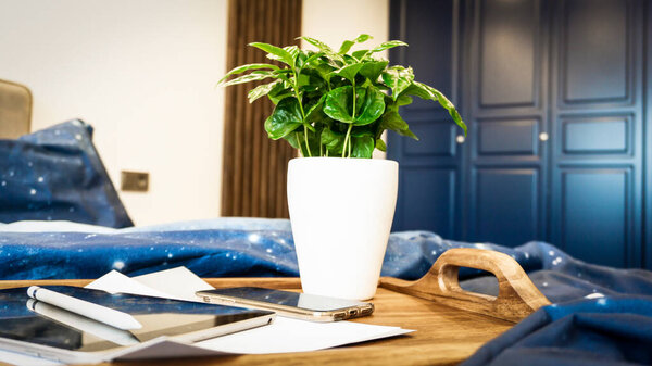 Wooden tray on a blue bed. Work at home. Cup of tea on a tray with a flower. Tablet and phone on the bed. Beautiful modern neoclassical interior.