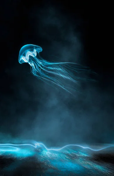 1006 Bioluminescence Stock Photos HighRes Pictures and Images  Getty  Images