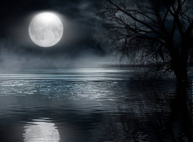 Karanlık, soğuk, fütürist orman. Ağaçlı dramatik sccna, büyük ay ışığı, ay ışığı. Duman, gölge, sis, kar. Gece ormanı yansıması nehirde, denizde, okyanusta.