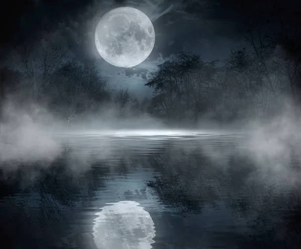 黑暗寒冷的风景与一条河 月光上反射出冬日的背景 戏剧化的场景 3D插图 — 图库照片