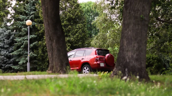 Coche Rojo Estacionamiento Parque Árboles Verdes Verano —  Fotos de Stock