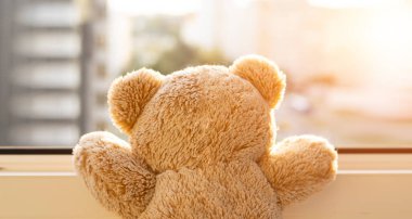 Oyuncak ayı oturur ve pencereden dışarı bakar, dikiz aynasından. Bulanık şehir manzarası arka planı. Pencereden güneş ışığı geçiyor..