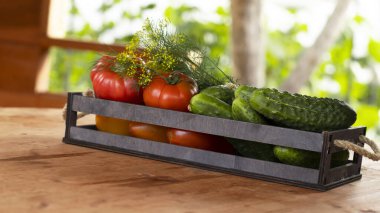 Ahşap bir masada, ahşap bir kutuda sebze domatesler ve salatalıklar, yakın plan. Hasat, bahçe, sebze bahçesi. Bulanık bokeh arkaplanı.