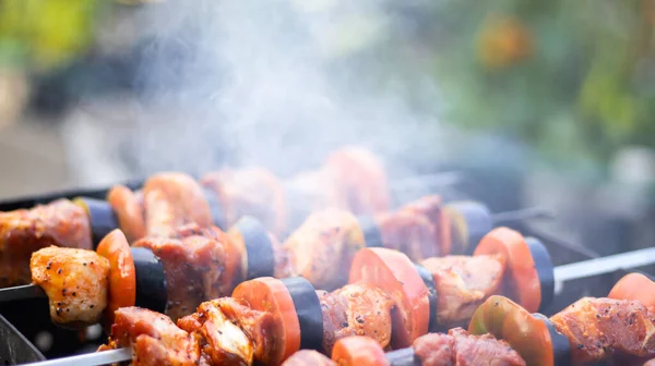 Juicy Shish Kebab Grill Outdoors Pieces Meat Coals Close Smoke — Stock Photo, Image