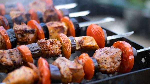 Kebab Shish Suculento Grelha Livre Pedaços Carne Carvão Close Fumaça — Fotografia de Stock