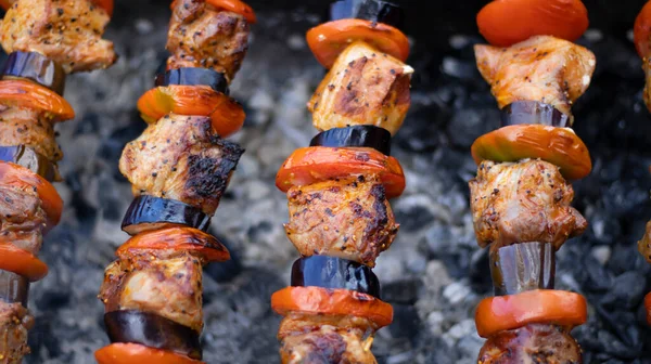 Kebab Shish Suculento Grelha Livre Pedaços Carne Carvão Close Fumaça — Fotografia de Stock