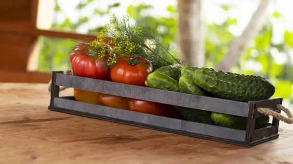 Gemüsetomaten Und Gurken Einer Holzkiste Auf Einem Holztisch Großaufnahme Ernte — Stockfoto