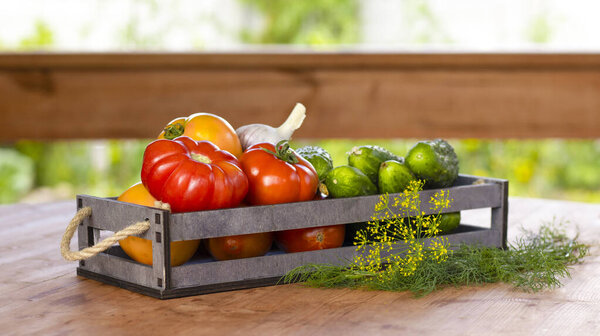 Vegetables tomatoes and cucumbers in a wooden box on a wooden table, close-up. Harvest, garden, vegetable garden. Blurred bokeh background.