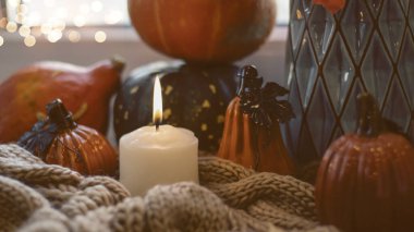 Sonbahar arkaplanı kuru yapraklar, mavi bir fincan kahve. Örgü arka plan, balkabağı, Ekim, Kasım. Sonbahar atmosferi. Sonbahar mevsimi.