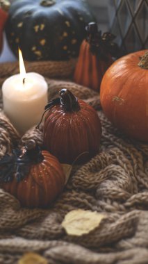 Sonbahar arkaplanı kuru yapraklar, mavi bir fincan kahve. Örgü arka plan, balkabağı, Ekim, Kasım. Sonbahar atmosferi. Sonbahar mevsimi.