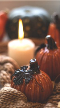 Sonbahar arkaplanı kuru yapraklar, mavi bir fincan kahve. Örgü arka plan, balkabağı, Ekim, Kasım. Sonbahar atmosferi. Sonbahar mevsimi.