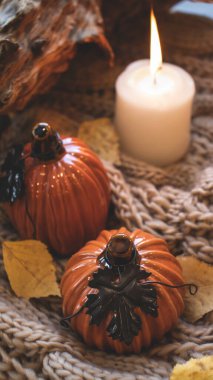 Sonbahar arkaplanı kuru yapraklar, mavi bir fincan kahve. Örgü arka plan, balkabağı, Ekim, Kasım. Sonbahar atmosferi. Sonbahar mevsimi.