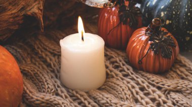 Sonbahar arkaplanı kuru yapraklar, mavi bir fincan kahve. Örgü arka plan, balkabağı, Ekim, Kasım. Sonbahar atmosferi. Sonbahar mevsimi.