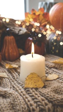 Sonbahar arkaplanı kuru yapraklar, mavi bir fincan kahve. Örgü arka plan, balkabağı, Ekim, Kasım. Sonbahar atmosferi. Sonbahar mevsimi.