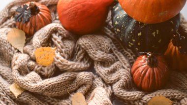 Sonbahar arkaplanı kuru yapraklar, mavi bir fincan kahve. Örgü arka plan, balkabağı, Ekim, Kasım. Sonbahar atmosferi. Sonbahar mevsimi.