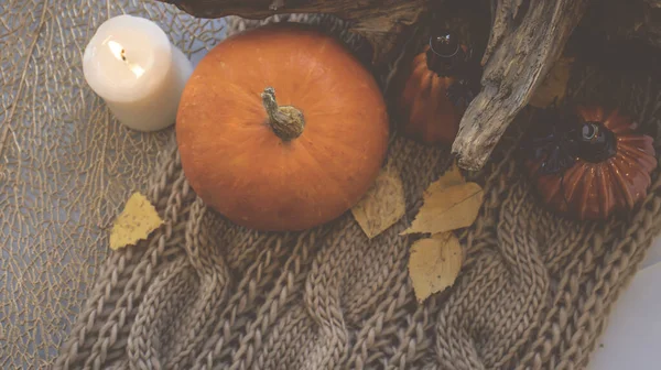 秋天的背景 有干枯的叶子 蓝色的咖啡 针织背景 十一月 自动的气氛 秋季季节 — 图库照片