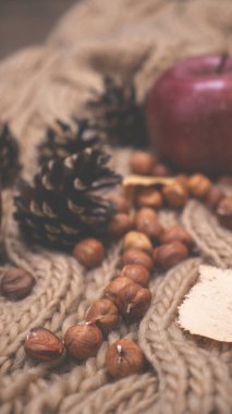 Elma ve fındıkla dolu bir sonbahar. Sonbahar arkaplanı elmalarla örülmüş sıcak bir eşarp, ahşap bir tabak, sonbahar yaprakları, fındık ve koni.