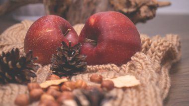 Elma ve fındıkla dolu bir sonbahar. Sonbahar arkaplanı elmalarla örülmüş sıcak bir eşarp, ahşap bir tabak, sonbahar yaprakları, fındık ve koni.