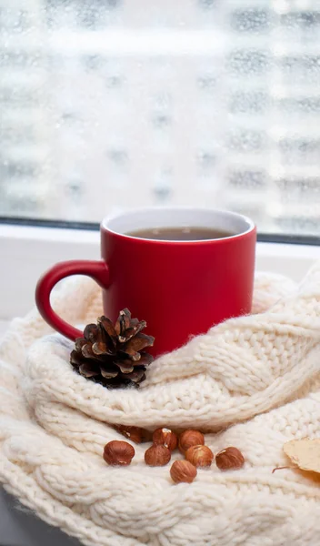 Autumn background with a red cup of coffee, tea, on the window, knitted scarf. Autumn coffee, dry leaves. Season October, November. Close-up.