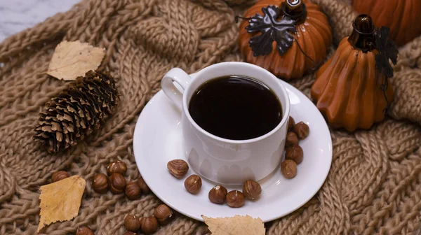 Autumn Background Coffee Knitted Scarf Pumpkin Autumn Coffee Dry Leaves — Stock Photo, Image