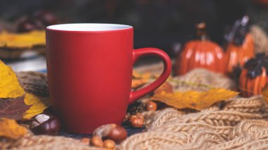Yumuşak, örgü bir eşarp, sonbahar yaprakları, balkabağı arka planında çay olan kırmızı kupa. Sonbahar arka planı, rahat bir akşam, şömine..