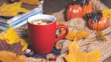 Yumuşak, örgü bir eşarp, sonbahar yaprakları, balkabağı arka planında çay olan kırmızı kupa. Sonbahar arka planı, rahat bir akşam, şömine..