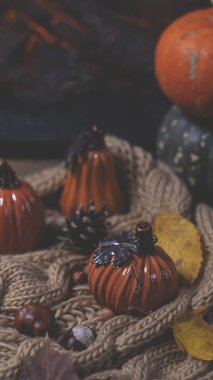 Portakal kabakları ve sonbahar yaprakları yumuşak örülmüş bir eşarp, sonbahar arkaplanı, şöminenin yanında sıcak bir akşam.